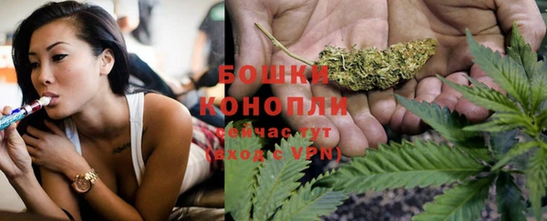 стаф Баксан